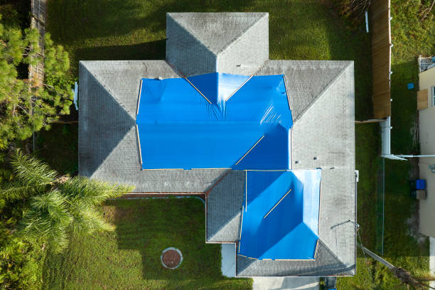 Trusted Holden, MO Roofing Service Experts