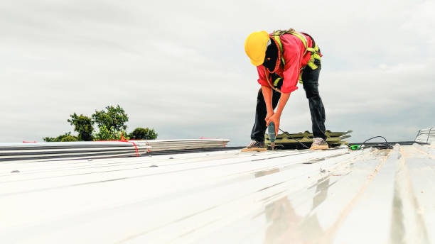Best Roof Maintenance and Cleaning  in Holden, MO
