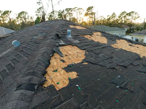 Best Roof Installation  in Holden, MO