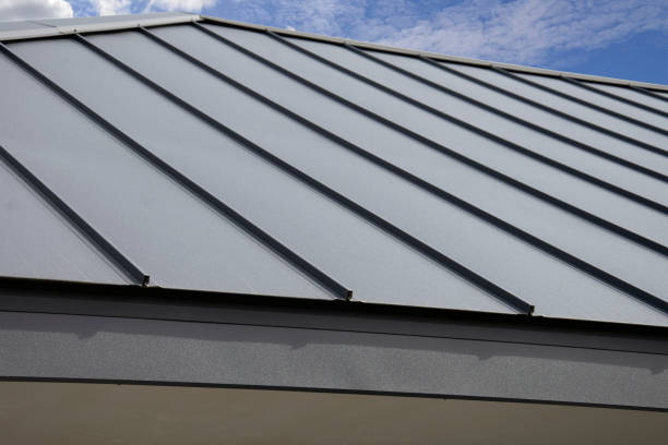 Best Solar Panel Roofing Installation  in Holden, MO
