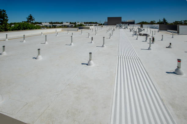 Best Metal Roofing Installation  in Holden, MO